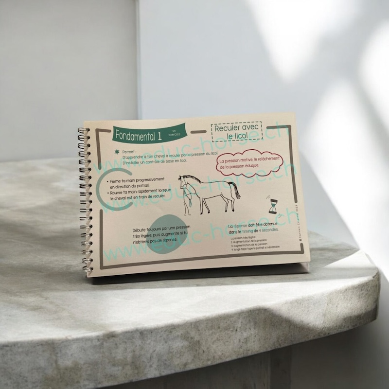 carnet reculer au licol